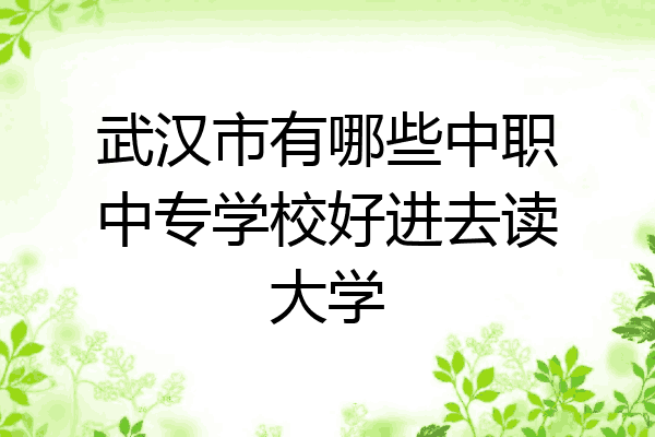 武汉市有哪些中职中专学校好进去读大学
