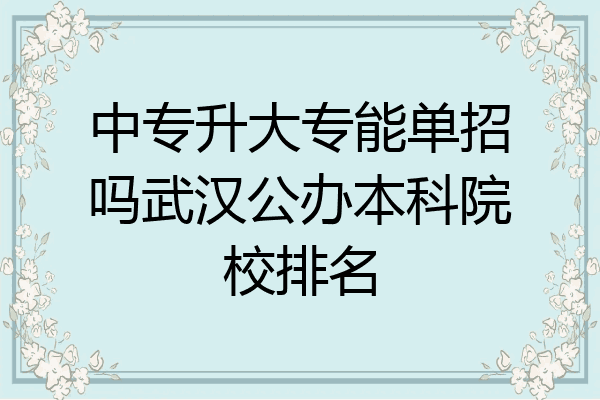 中专升大专能单招吗武汉公办本科院校排名
