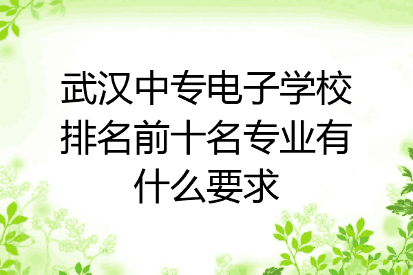 武汉中专电子学校排名前十名专业有什么要求