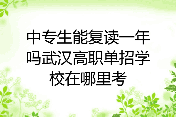 中专生能复读一年吗武汉高职单招学校在哪里考