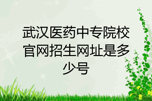 武汉医药中专院校官网招生网址是多少号
