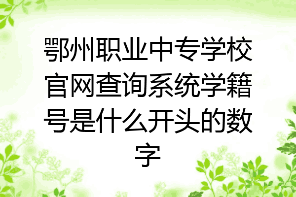鄂州职业中专学校官网查询系统学籍号是什么开头的数字