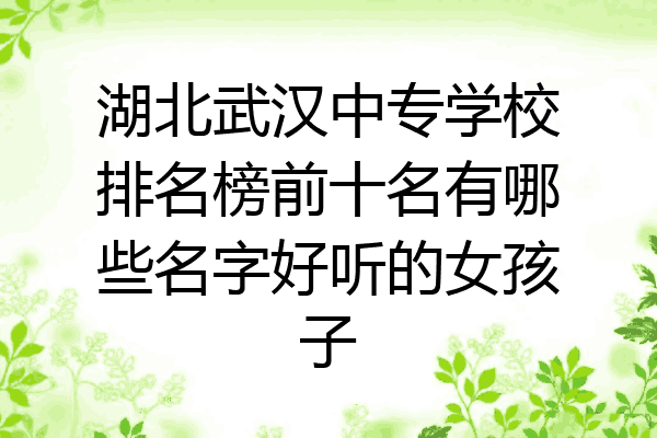 湖北武汉中专学校排名榜前十名有哪些名字好听的女孩子