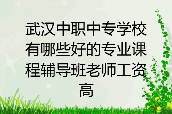 武汉中职中专学校有哪些好的专业课程辅导班老师工资高