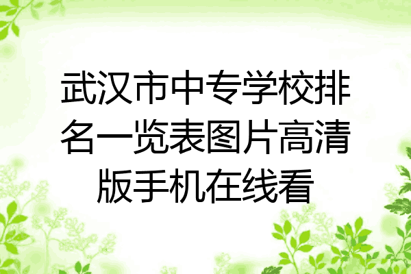 武汉市中专学校排名一览表图片高清版手机在线看