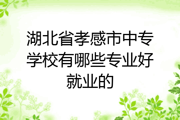 湖北省孝感市中专学校有哪些专业好就业的