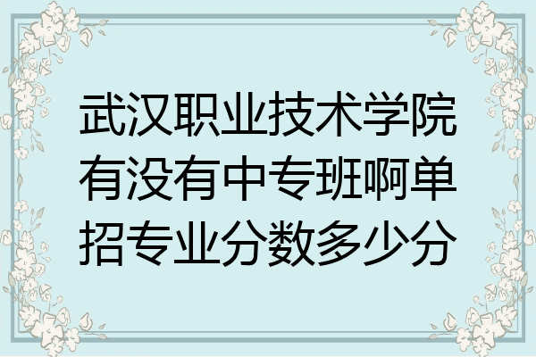武汉职业技术学院有没有中专班啊单招专业分数多少分