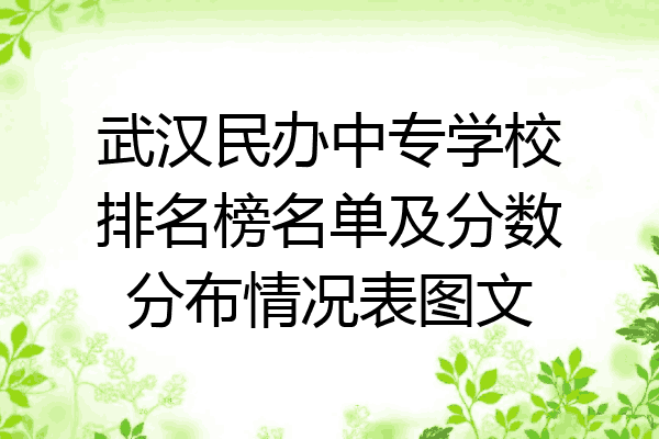 武汉民办中专学校排名榜名单及分数分布情况表图文
