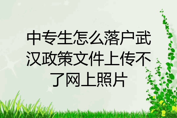 中专生怎么落户武汉政策文件上传不了网上照片