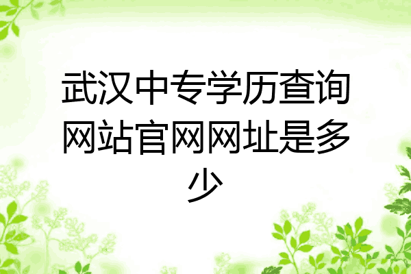 武汉中专学历查询网站官网网址是多少