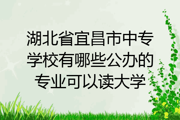 湖北省宜昌市中专学校有哪些公办的专业可以读大学
