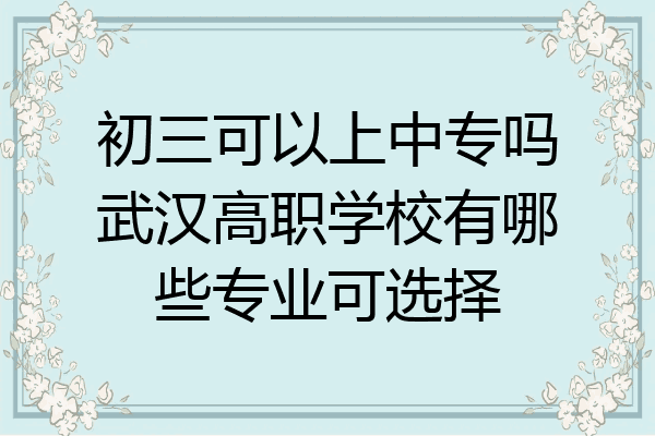 初三可以上中专吗武汉高职学校有哪些专业可选择