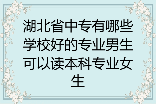 湖北省中专有哪些学校好的专业男生可以读本科专业女生