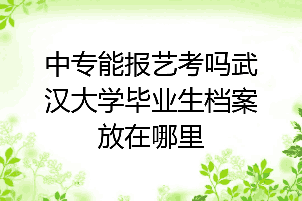 中专能报艺考吗武汉大学毕业生档案放在哪里