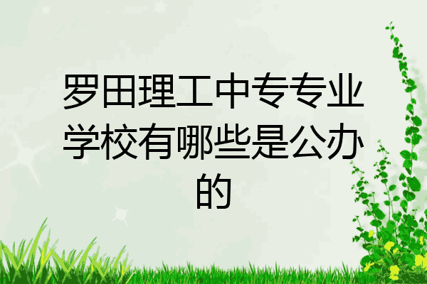 罗田理工中专专业学校有哪些是公办的