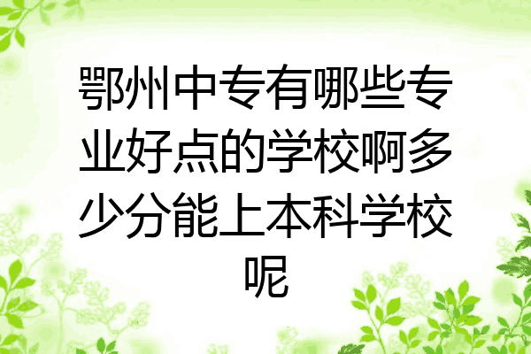 鄂州中专有哪些专业好点的学校啊多少分能上本科学校呢