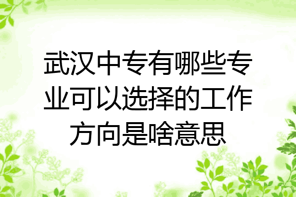 武汉中专有哪些专业可以选择的工作方向是啥意思