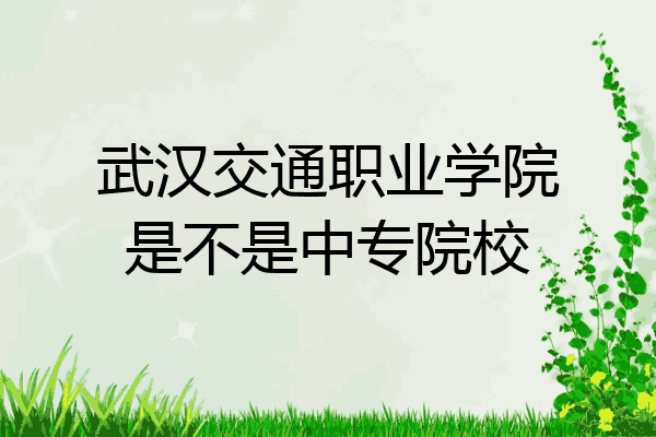 武汉交通职业学院是不是中专院校