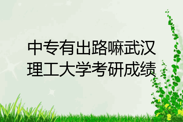 中专有出路嘛武汉理工大学考研成绩