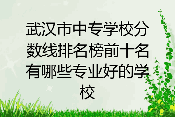 武汉市中专学校分数线排名榜前十名有哪些专业好的学校