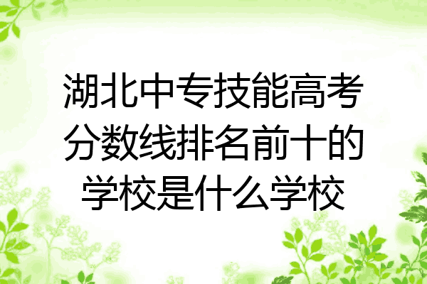 湖北中专技能高考分数线排名前十的学校是什么学校