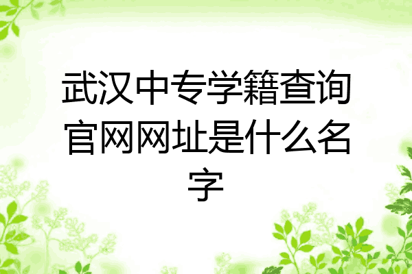 武汉中专学籍查询官网网址是什么名字