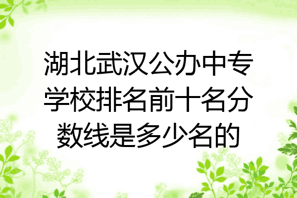 湖北武汉公办中专学校排名前十名分数线是多少名的