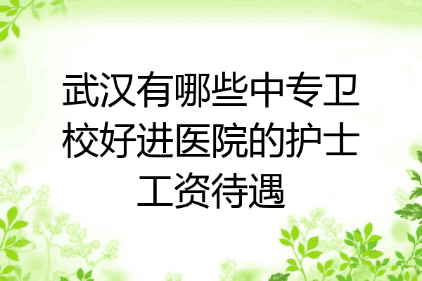 武汉有哪些中专卫校好进医院的护士工资待遇