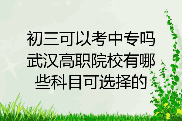初三可以考中专吗武汉高职院校有哪些科目可选择的