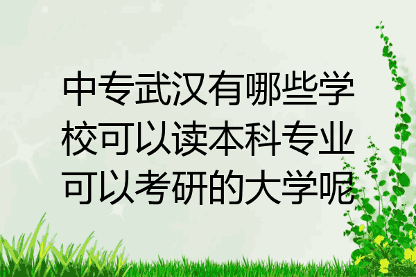 中专武汉有哪些学校可以读本科专业可以考研的大学呢