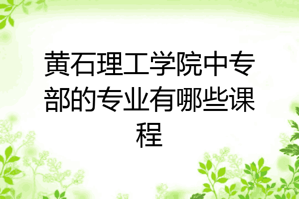 黄石理工学院中专部的专业有哪些课程