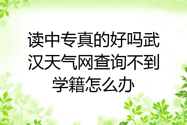 读中专真的好吗武汉天气网查询不到学籍怎么办