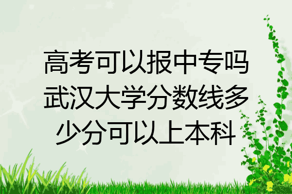 高考可以报中专吗武汉大学分数线多少分可以上本科
