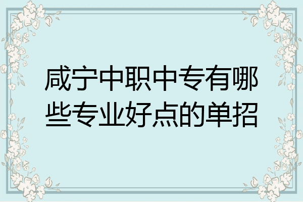 咸宁中职中专有哪些专业好点的单招