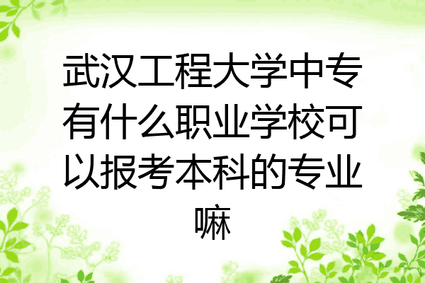 武汉工程大学中专有什么职业学校可以报考本科的专业嘛