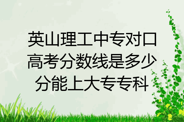 英山理工中专对口高考分数线是多少分能上大专专科