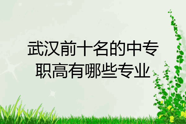 武汉前十名的中专职高有哪些专业
