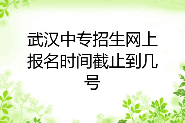 武汉中专招生网上报名时间截止到几号