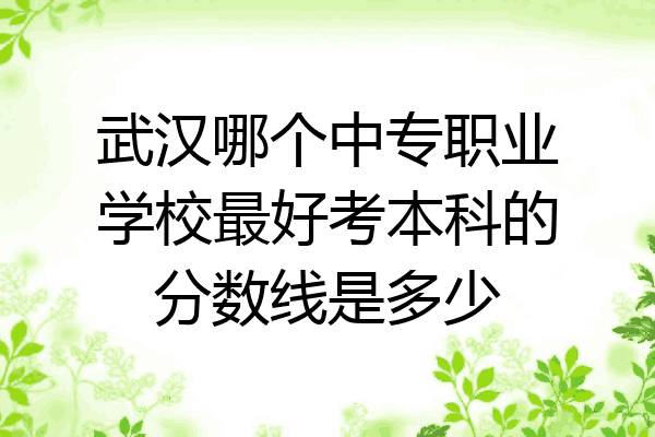 武汉哪个中专职业学校最好考本科的分数线是多少