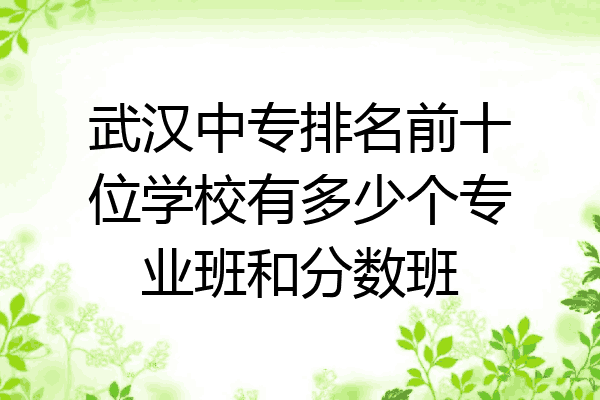 武汉中专排名前十位学校有多少个专业班和分数班