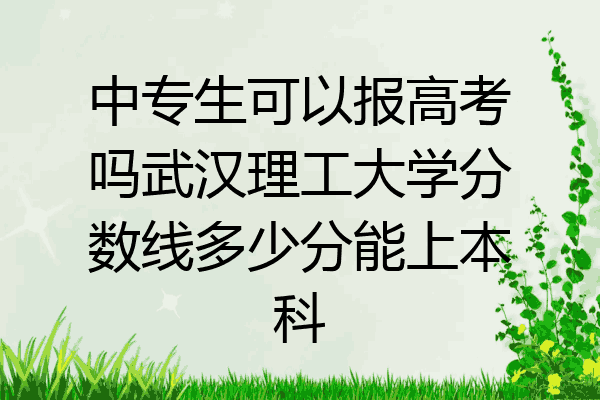 中专生可以报高考吗武汉理工大学分数线多少分能上本科