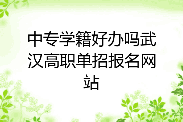 中专学籍好办吗武汉高职单招报名网站