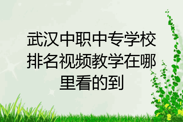 武汉中职中专学校排名视频教学在哪里看的到