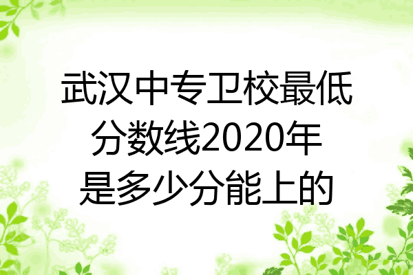 武汉中专卫校最低分数线2020年是多少分能上的