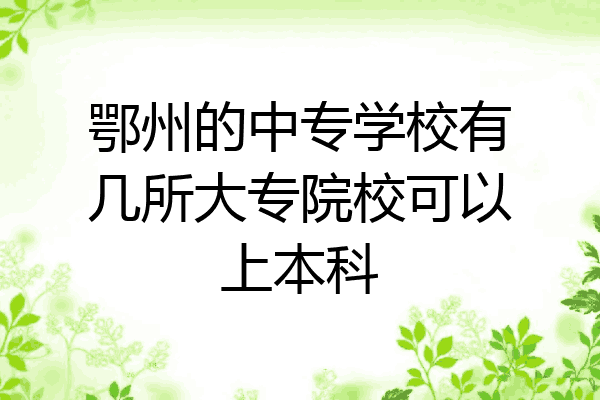 鄂州的中专学校有几所大专院校可以上本科