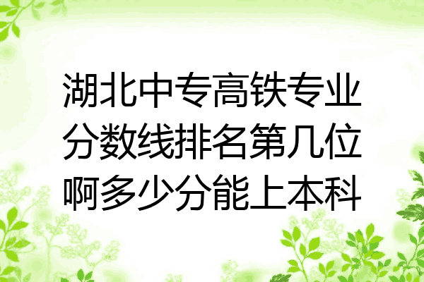 湖北中专高铁专业分数线排名第几位啊多少分能上本科