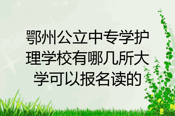 鄂州公立中专学护理学校有哪几所大学可以报名读的