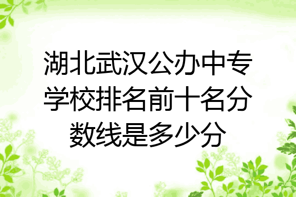 湖北武汉公办中专学校排名前十名分数线是多少分