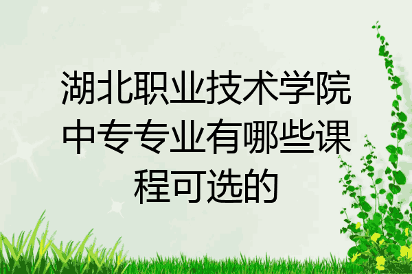湖北职业技术学院中专专业有哪些课程可选的