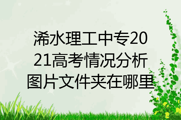 浠水理工中专2021高考情况分析图片文件夹在哪里